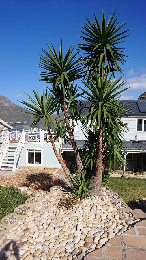 Villa Amanzi Houtbaai Buitenkant foto