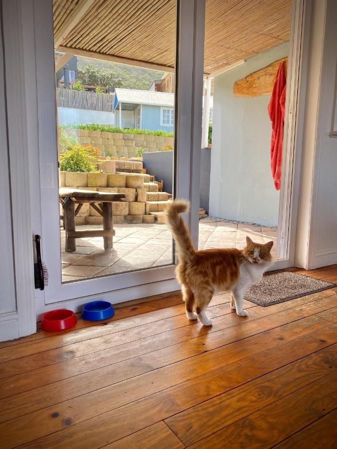 Villa Amanzi Houtbaai Buitenkant foto